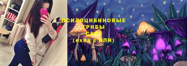 ГАЛЛЮЦИНОГЕННЫЕ ГРИБЫ Кинешма