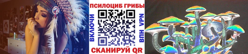 Купить где  Баймак  Псилоцибиновые грибы мухоморы 